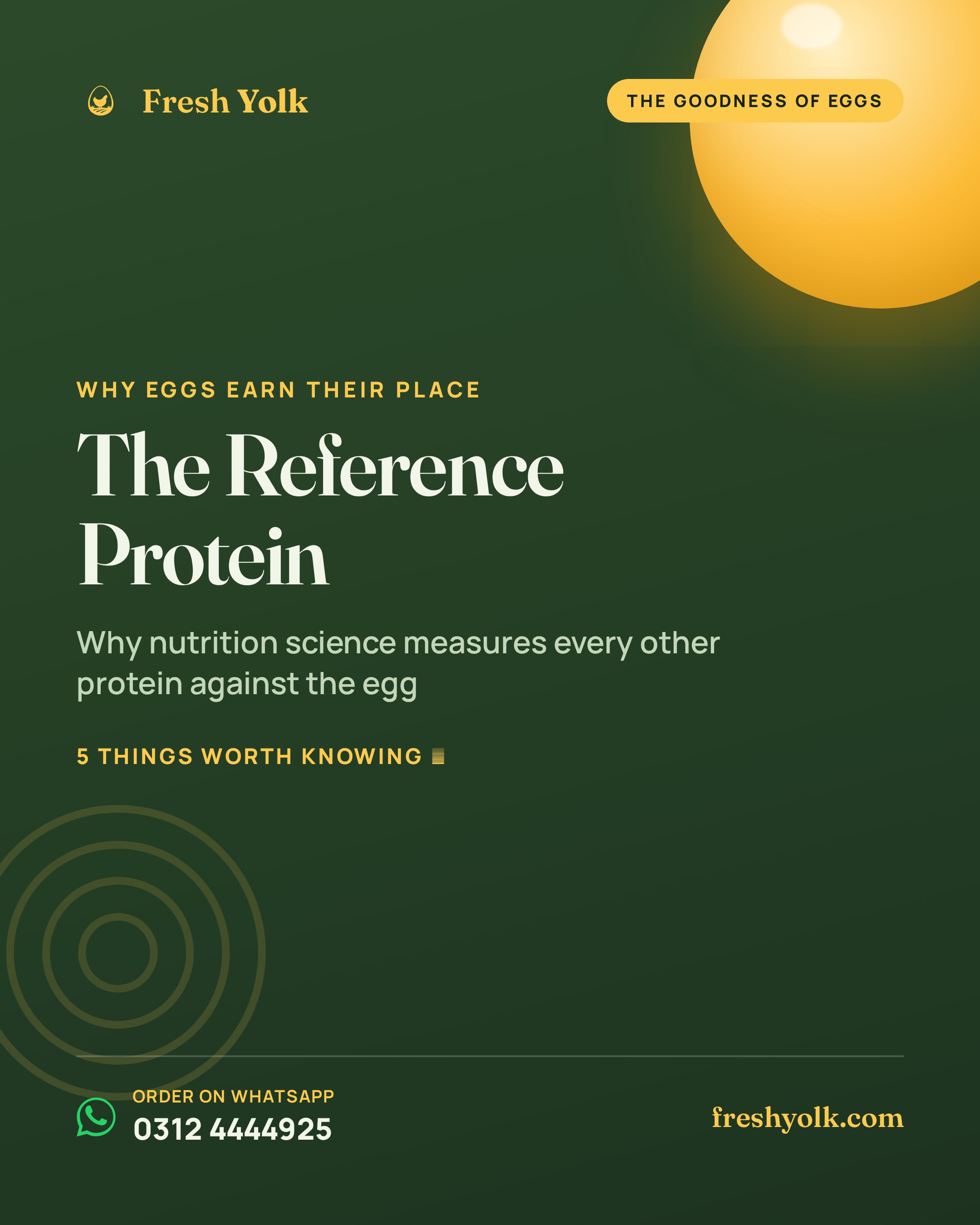 The Reference
Protein