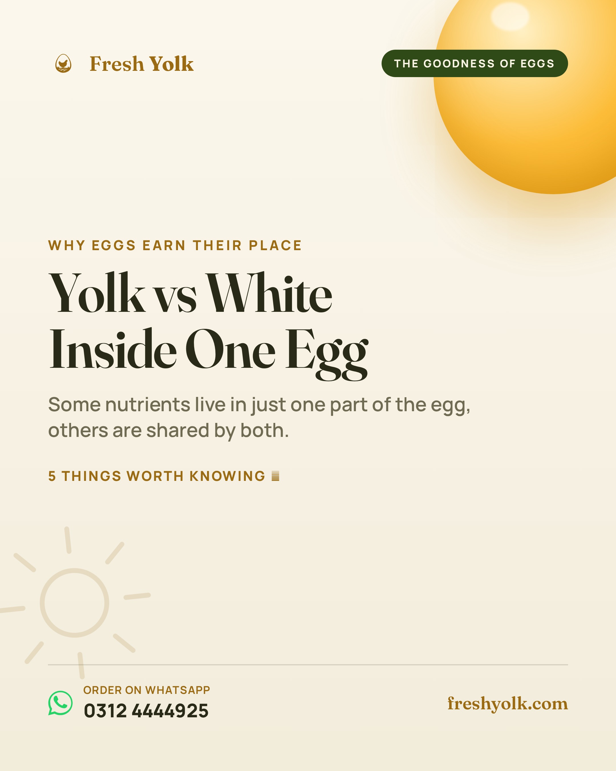 Yolk vs White
Inside One Egg